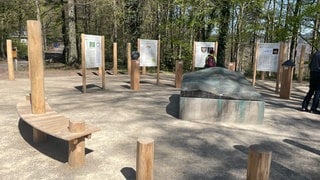 Schautafeln und eine Bronze-Nachbildung des Keltenwegs auf dem Heiligenberg.