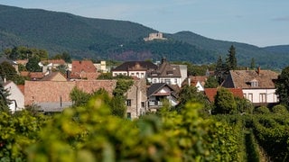 Blick über Neustadt auf das Hambacher Schloss.