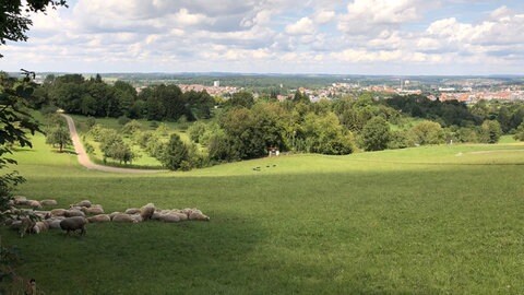 Wandern in BW: Eine Idylle mit herrlichem Ausblick, das bietet der Aalener Panoramaweg.