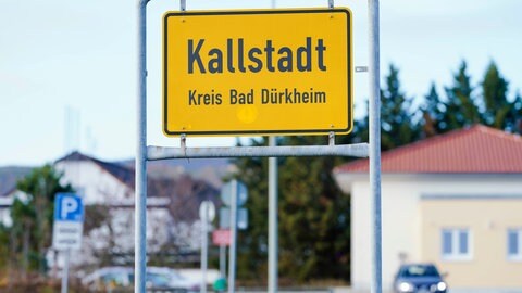 Aus dem Weindorf Kallstadt im Landkreis Bad Dürkheim stammen die Vorfahren des US-Präsidenten Donald Trump. 
