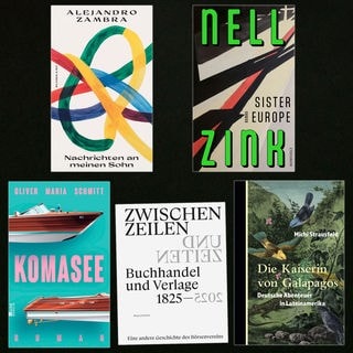 lesenswert Bücher vom 25.5.2025