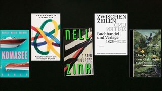 lesenswert Bücher vom 25.5.2025