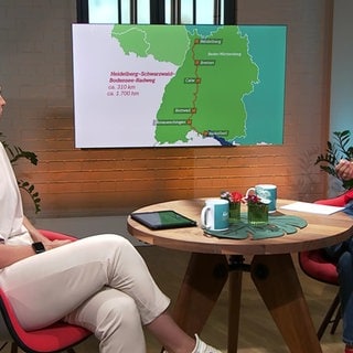 Die schönsten Fahrradtouren im Sommer im Südwesten