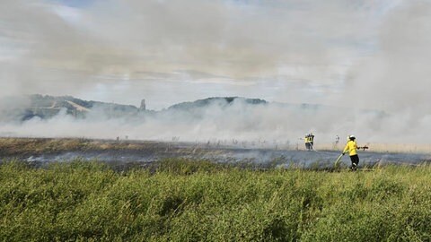 Die Einsatzkräfte waren zwei Stunden mit den Löscharbeiten beschäftigt. Nach eigenen Angaben verhinderten sie in letzter Minute, dass das Feuer auf ein Wohnegbiet übergriff.