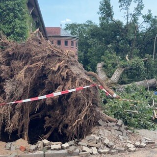 Durch das Unwetter sind Bäume in Karlsruhe entwurzelt worden