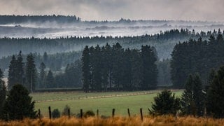 Rauch zieht über das Hohe Venn. Im belgischen Naturschutzgebiet Hohes Venn dauert der Kampf gegen die Flächenbrände an. Beteiligt sind auch deutsche Einsatzkräfte, die von Monschau in der Eifel aus agieren. 