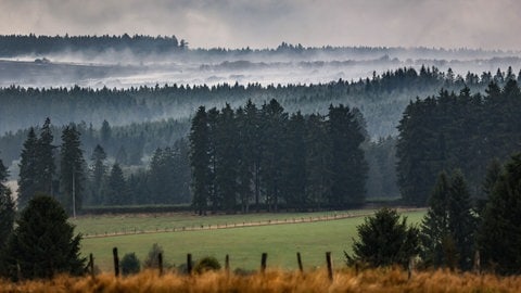 Rauch zieht über das Hohe Venn. Im belgischen Naturschutzgebiet Hohes Venn dauert der Kampf gegen die Flächenbrände an. Beteiligt sind auch deutsche Einsatzkräfte, die von Monschau in der Eifel aus agieren. 