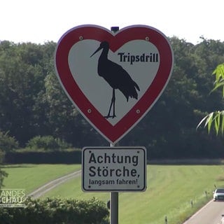 Ein Storchenschild des Tripsdrill-Erlebnisparks über einer Straße