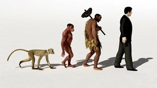 Der Mensch und Menschenaffen haben keinen Affenschwanz wie andere Primaten. Dafür verantwortlich ist ein kleines DNA-Stück, das das Ablesen eines Genes stört. Unklar ist, warum die Schwanzlosigkeit sich durchsetzte.