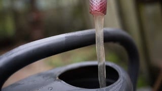 Grundwasser läuft aus einem Schlauch, der per Pumpe an einen Grundwasserbrunnnen angeschlossen ist.