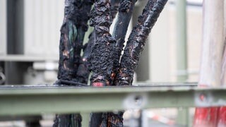 Verkohlte Verkohlte Kabel auf dem Gelände des Umspannwerks in Reutlingen.