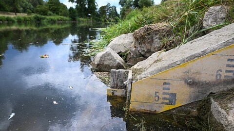 Durch das Niedrigwasser der Donau ist der Pegel bei Hundersingen unter die Marke von fünf Metern gefallen.