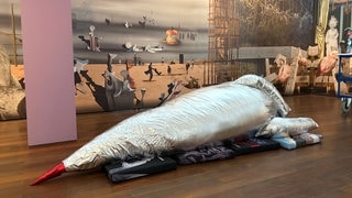 Ausstellung - Zu den Sternen - Arp Museum