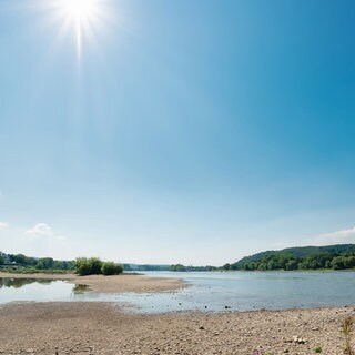 Ausgetrockneter Rhein unter gleisender Sonne