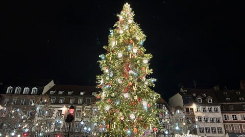 Der Weihnachtsbaum auf dem Straßburger Weihnachtsmarkt 2026. 