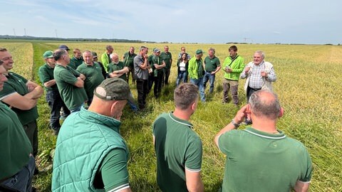 Hagelschaden auf einem Feld bei Ilshofen