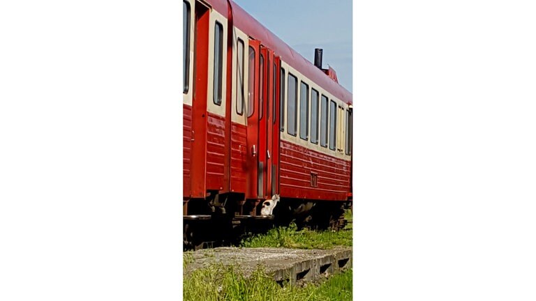 Im Bahnhof in Brad hält nur wenige Male am Tag ein kurzer Regional-Zug.