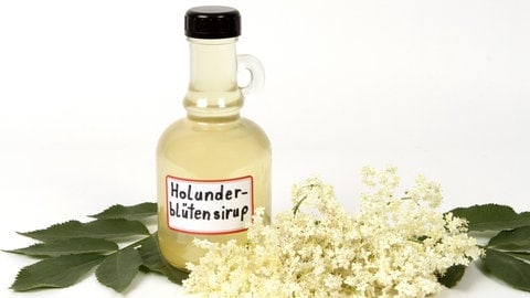 Eine kleine Flasche Holundersirup, davor liegen Holunderblüten.