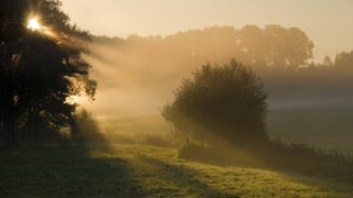 Sonnenaufgang über Wald- und Wiesenlandschaft