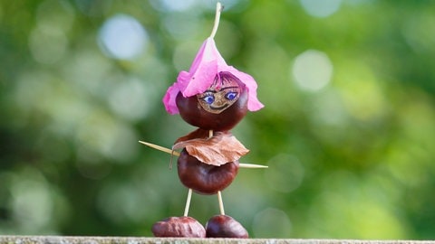 Eine Kastanienfigur mit Blütenhut.