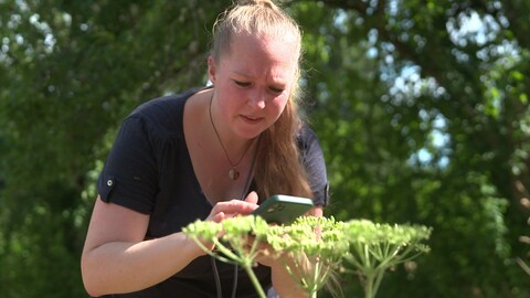 Insekten sind vielfältig und Meister im Tarnen - Nadja Lenz begeistert sich seit mehr als 20 Jahren für die Tiere, die sie auch züchtet
