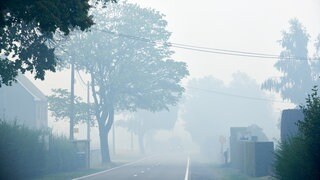 In Belgien brennt ein 2.700 Hektar großes Waldstück. Das Feuer war am Freitag ausgebrochen.