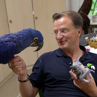 Vogelarten im Karlsruher Zoo