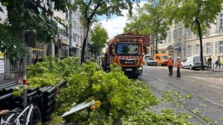 Ein Baum stürzte in Karlsruhe auf eine Oberleitung der Straßenbahn.