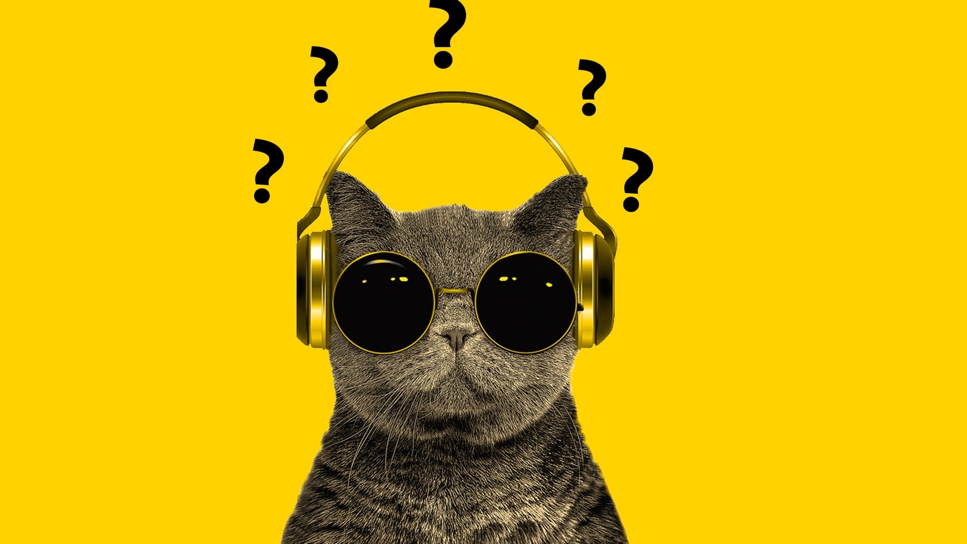 Fragen und Antworten zur SWR1 Hitparade