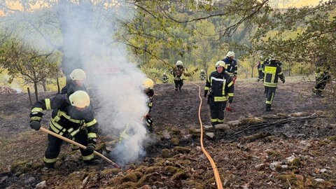 Waldbrand in Roigheim - Unterstützung kam von mehreren Feuerwehren aus dem Umkreis.