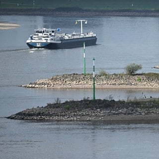 Ein Frachtschiff fährt auf dem Rhein. Wegen der Trockenheit ist im Rhein derzeit ungewöhnlich wenig Wasser.