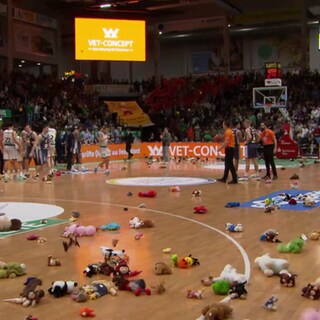 Stofftiere werden auf Basketballfeld geworden