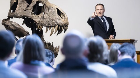 Im April 2023 wurde in der Schweiz das Skelett des Tyrannosaurus Rex namens "Trinity" für knapp 5,6 Millionen Euro versteigert. Der Käufer bleibt anonym. Allerdings ist auch über den berühmten Tyrannosaurus, einer der größten landlebenden Fleischfresser aller Zeiten, nur wenig bekannt und jeder Fund relevant. Versteigern oder erforschen – wie umgehen mit dem Dilemma?