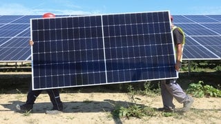 Ein Solarpark wird aufgebaut (Symbolbild). Im südpfälzischen Hochstadt soll auf einer landwirtschaftlichen Flächen eine Agri-PV-Anlage gebaut werden. Die Bürger in dem Ort können selbst Geld in das Projekt stecken.