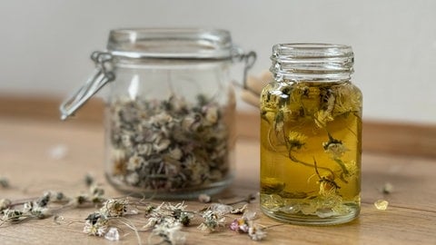 Gänseblümchenöl