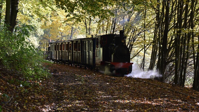 Selbst in Corona-Zeiten gut gebucht: die Schmalspurbahn von Bialoslwie. 