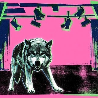 Auf einer freistehenden Theaterbühne mit Vorhängen und Scheinwerfen steht ein aggressiver Wolfshund und zeigt seine Zähne.