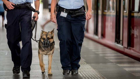 Ein 19-Jähriger, der zuvor in einer S-Bahn ein Messer gezogen hatte, wurde am Bahnhof Schwaigern (Kreis Heilbronn) von einem Diensthund der Polizei gestoppt. (Symbolbild)