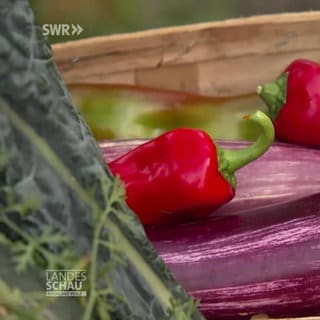 Gemüse aus dem eigenen Garten