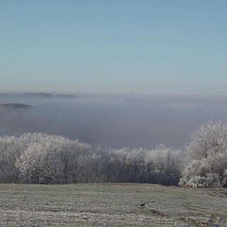 Pellingen