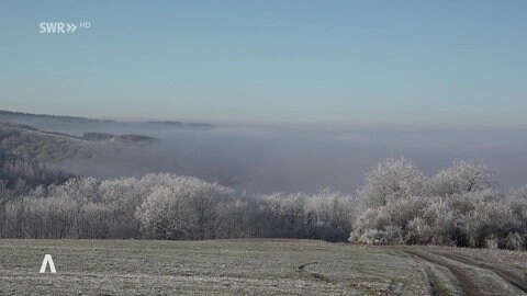 Pellingen