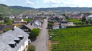 Die Johannes-Trithemius-Straße in Trittenheim