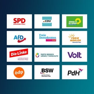 Diese zwölf Parteien sind für die Landtagswahl in RLP zugelassen.