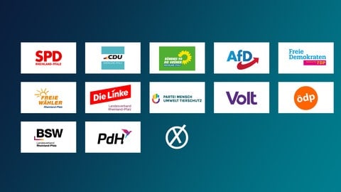 Diese zwölf Parteien sind für die Landtagswahl in RLP zugelassen.