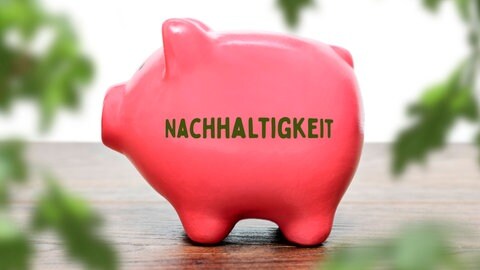 Sparschwein: Frauen investieren an der Börse oft in andere Produkte, Bereiche und Unternehmen: Sie stecken ihr Geld lieber in nachhaltige Anlagen