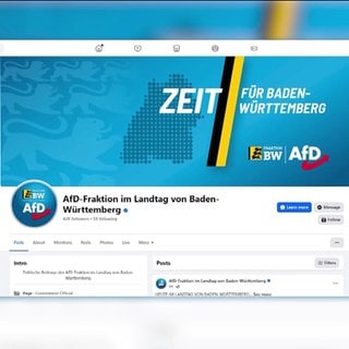 Eklat im Landtag um AfD-Foto