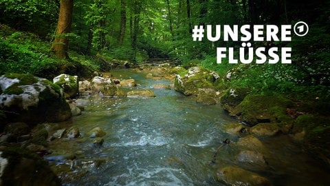 Key Visual der ARD-Mitmachaktion #unsereFlüsse: Ein fließender Bach im Wald