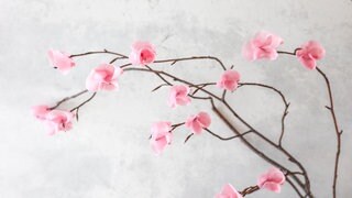 Blüten aus Wachs selber machen