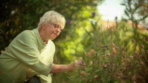 Eine Frau in einem Garten. 