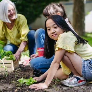 Beispielbild für einen Schulgarten